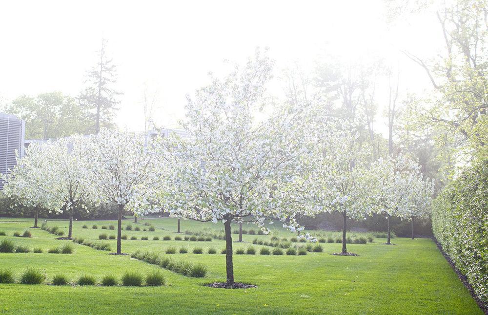 Hotel Topping Rose House Bridgehampton Exterior foto